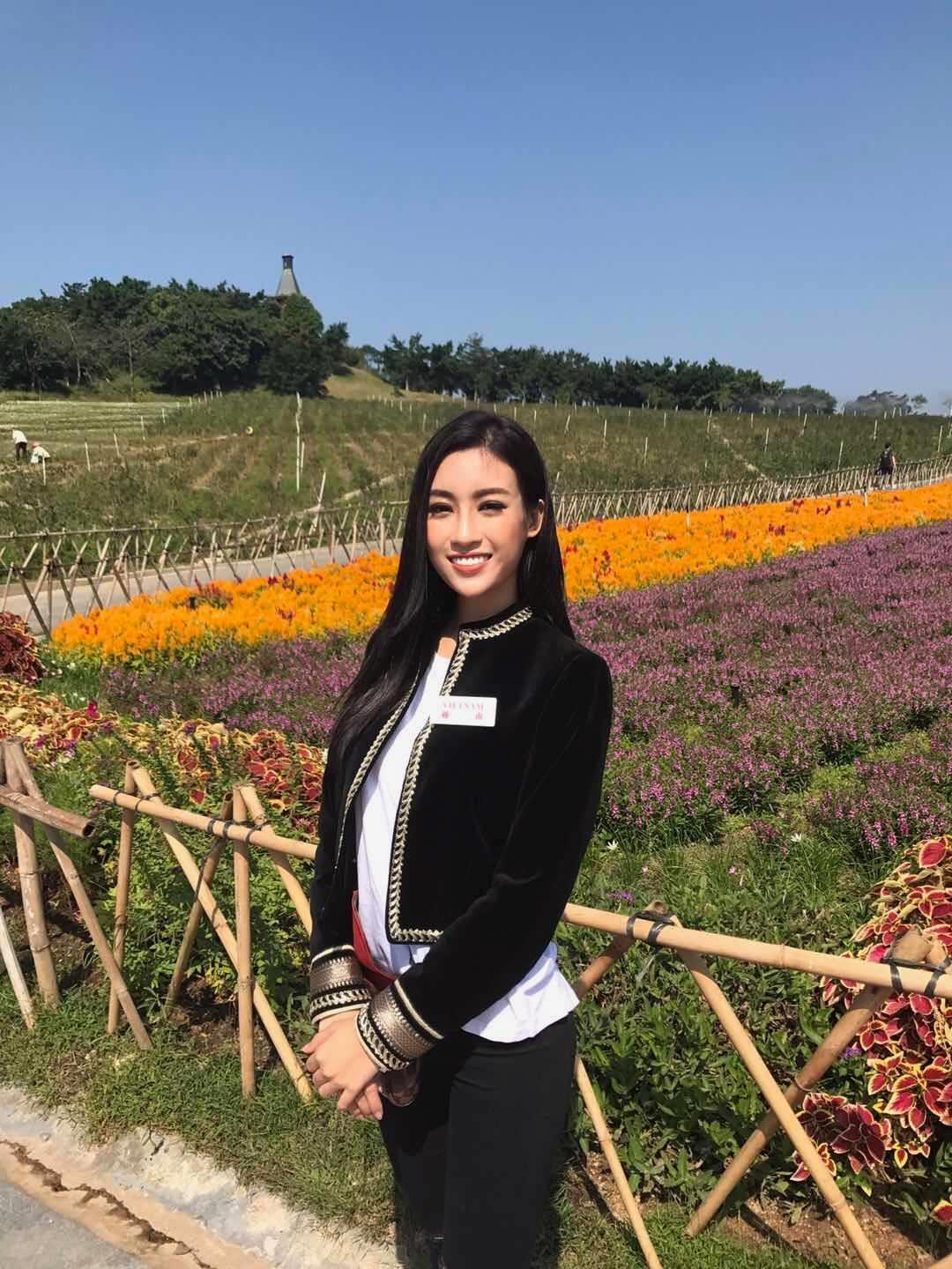 Do My Linh ( Vietnam ) Miss World 2017 Photos Angelopedia