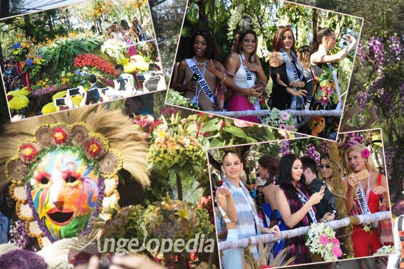 Miss Universe 2016 contestants paraded Baguio in flower floats