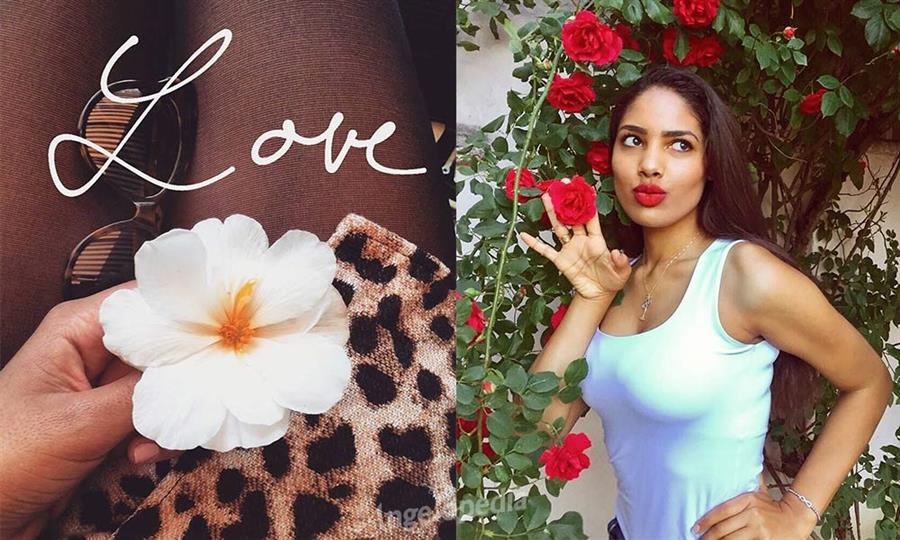 Miss Universe Croatia 2017 Shanaelle Petty’s Absolute favourites!