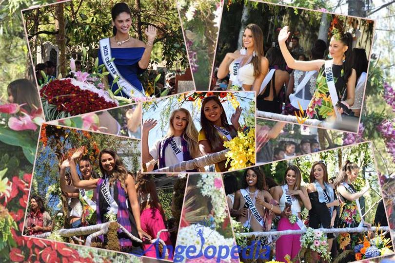 Miss Universe 2016 contestants paraded Baguio in flower floats