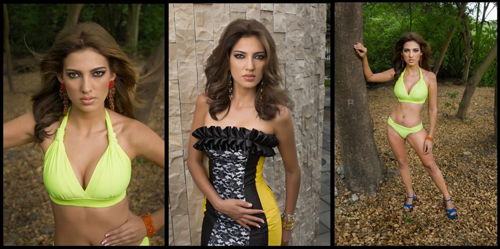 Miss World Ecuador 2014 finalists