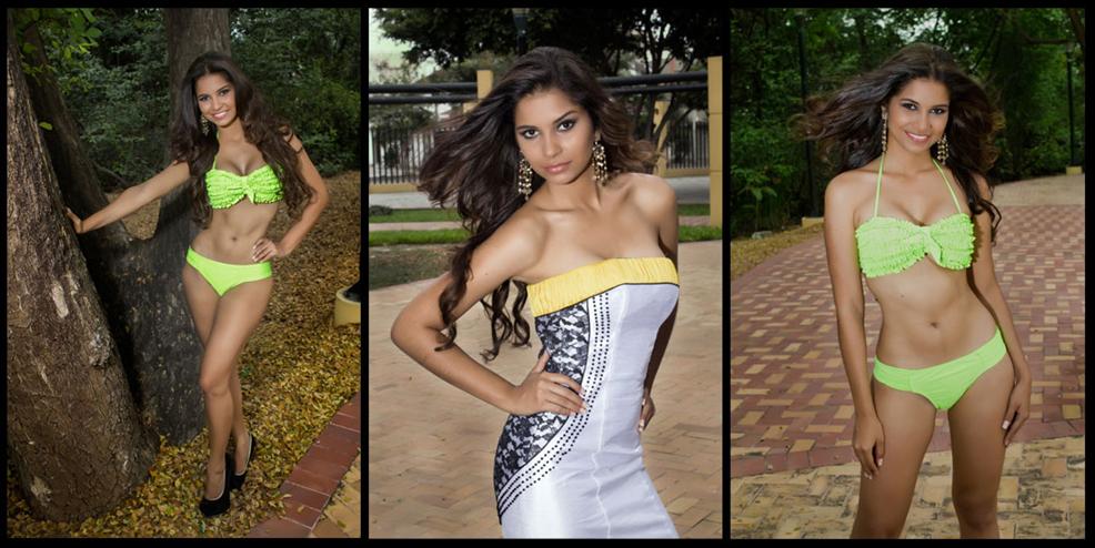 Miss World Ecuador 2014 finalists