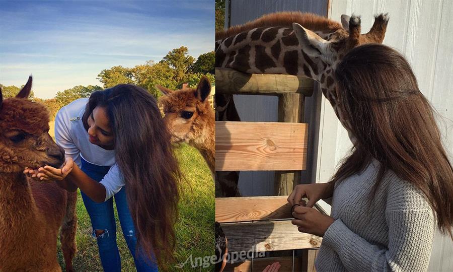 Miss Universe Croatia 2017 Shanaelle Petty’s Absolute favourites!