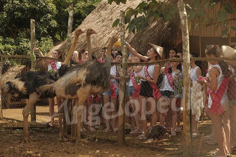 Look! Miss Asia Pacific International 2016 contestants indulge in fun activities